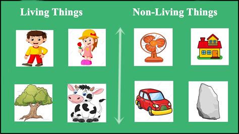 non living things photos|Nonliving Things .